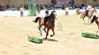 انطلاق الدورة الـ24 من مهرجان الخيول العربية في الشرقية.. 26 سبتمبر
