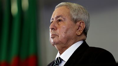 الرئيس المؤقت يعين سفيرًا جديدًا للجزائر في مصر