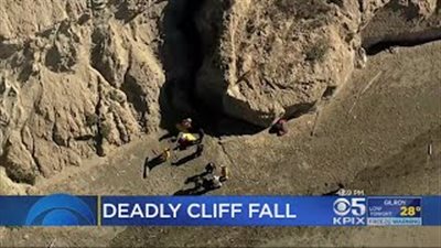 رجل يدفع حياته ثمنا لإنقاذ كلبه (فيديو)