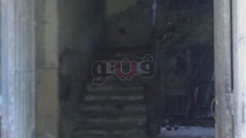 فيتو