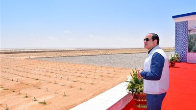 أسبوع رئاسي مكثف.. السيسي يفتتح 1300 صوبة زراعية.. يكرم العلماء.. يمنح ناشئي اليد وسام الرياضة.. يؤكد على أهمية تعزيز التبادل التجاري مع توجو.. ويكلف بتفعيل عمل صندوق تكريم الشهداء