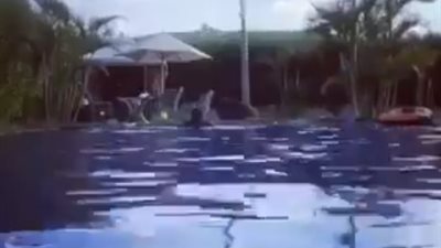 أمير كرارة يستعرض مهاراته في السباحة: جايلك يا فريدة عثمان (فيديو)