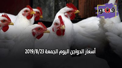 بورصة الدواجن.. اسعار الدواجن اليوم الجمعة 2019/8/23