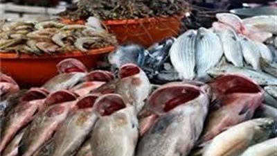 تجار العبور يكشفون أسباب تراجع الأسماك بالأسواق