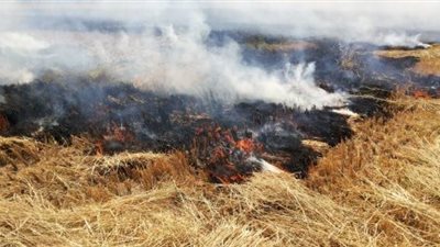 7 إجراءات من 