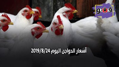 بورصة الدواجن العمومية.. اسعار الدواجن اليوم 2019/8/24