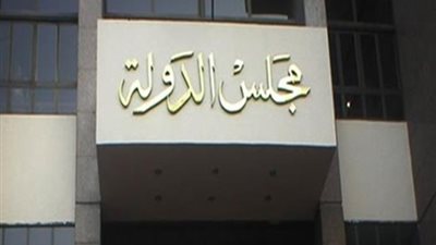 الإدارية العليا تقضي بمنح جمعية كل المصريين تصريح متابعة الانتخابات