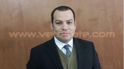 فقيه دستورى: «الخدمة المدنية» سيئ السمعة ويصطدم مع الدستور