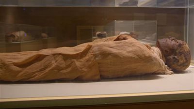 «مؤامرة الحريم».. صحيفة بريطانية تكشف تفاصيل جديدة حول وفاة رمسيس الثالث