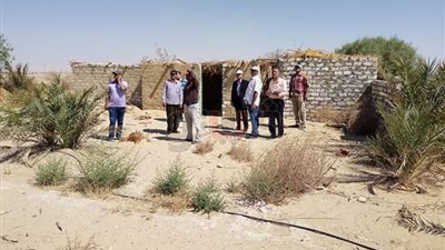 الوادي الجديد تسترد 176 فدانا ضمن حملات الإزالات بالخارجة (صور)