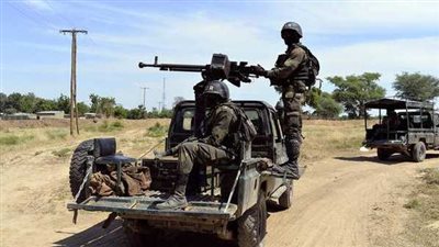 النيجر والكاميرون يقتلان 162 إرهابيا من بوكو حرام في عملية مشتركة