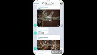 داعش يبيع أسلحة أمريكية على الإنترنت (فيديو)