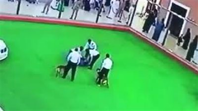 لحظة هجوم كلب على رجل في أحد عروض مهرجان الجنادرية بالسعودية (فيديو)