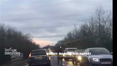 سيارة تبطئ حركة سير طريق سريع بحصان يتبعها (فيديو وصور)