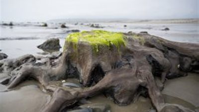 العواصف البريطانية تكشف عن سفينة غارقة من 165 عاما