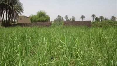 البيئة تناقش مع مدير 