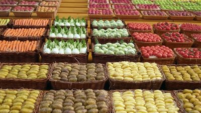 بالأرقام.. مصر تتصدر قائمة مستوردى المواد الغذائية من روسيا