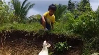 لقطات طريفة لبطة تساعد طفلا للعثور على حذائه (فيديو)