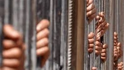 حبس عناصر «خلية أبو الفتوح» 15 يوما