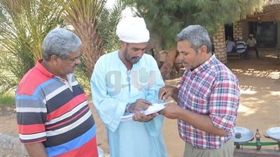 الوادي الجديد تسترد 405 أفدنة من المتقاعسين عن سداد رسوم تقنين الأراضي
