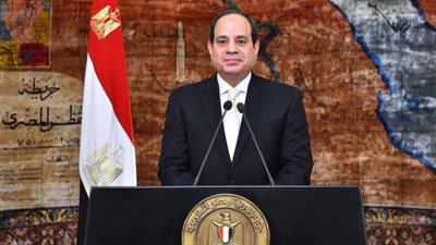 880 مليون دولار حجم الاستثمارات اليابانية في مصر