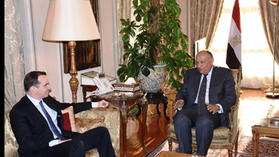 «شكري» يبحث مع المبعوث الأمريكي التحالف ضد داعش ومكافحة الإرهاب