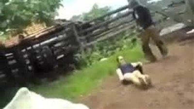 بقرة تلقن امرأة درسا قاسيا (فيديو)