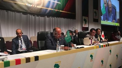 وزير الخارجية يرأس مع نظيره الياباني الاجتماع التحضيري لـ