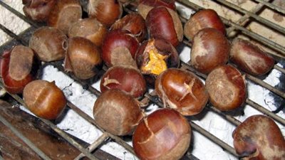 طريقة عمل «أبو فروة» مشوي بـ«الزبدة والعسل»