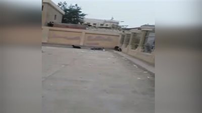 قطيع ماعز يسكن وحدة صحة الأسرة بـ«شكشوك» في الفيوم (فيديو)