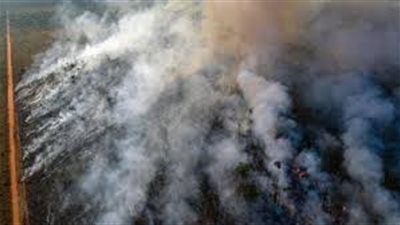 خبير بيئي يكشف تأثير حرائق الأمازون على مصر