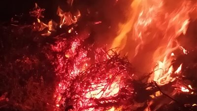 السيطرة على حريق هائل في أكوام قش بالقليوبية (صور)