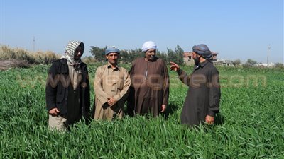 بالفيديو والصور.. فلاحو بورسعيد: مشاكلنا مزمنة وحقوقنا ضائعة