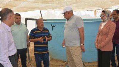 إنشاء مشروع بطاريات للأرانب بقرى الشركة في الوادي الجديد (صور)