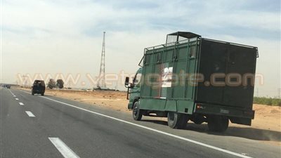 بالصور.. إصابة مُسلح في تبادل إطلاق نار مع أمن الإسماعيلية