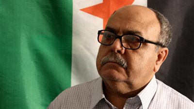 باحث: الإخوان نصبوا أنفسهم قادة للثورات العربية وأرعبوا العالم