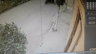 لحظة سرقة لص محلًا في وضح النهار (فيديو)