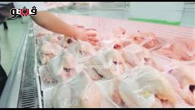 التموين: استمرار طرح الدواجن المجمدة مارس المقبل بصلاحية شهر (صوت)