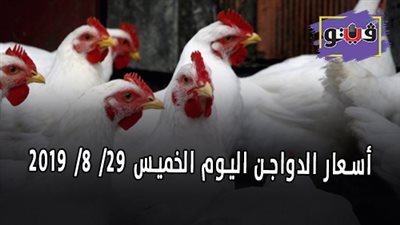 بورصة الدواجن اليوم في مصر | أسعار الدواجن اليوم الخميس 29/ 8/ 2019