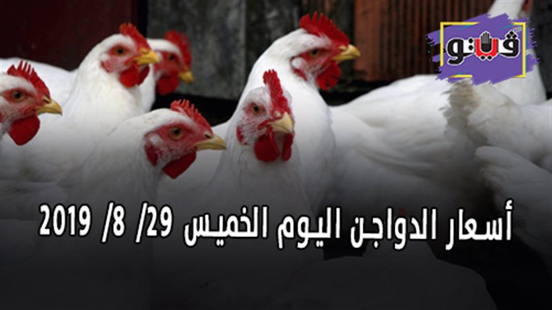 أسعار الدواجن