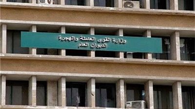 24 دورة على الحرف والمهن المختلفة بـ33 ورشة بالدقهلية