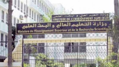 الحكومة: فروع الجامعات الأجنبية في مصر تخضع لإشراف التعليم العالي