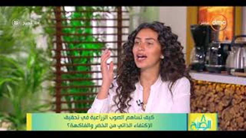 فيتو