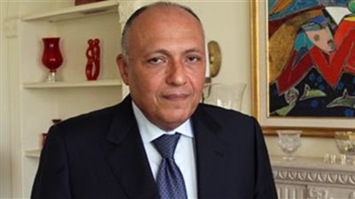 وزير الخارجية: مستمرون في دعم فلسطين.. وتركيا تآمرت على مصر