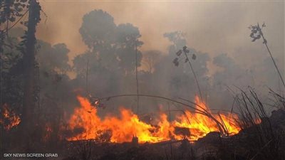 خبير بيئي: حرائق الأمازون خطر على العالم والمغرب أول المتضررين (فيديو)