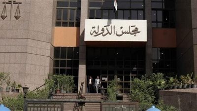 نظر دعوى إلغاء عضوية الصيادلة المتهمين جنائيا من الغرف التجارية.. 27 أكتوبر