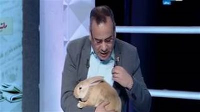 القرموطي يظهر بأرنب للسخرية من طعن «استبعاد مرشح بانتخابات الرئاسة»