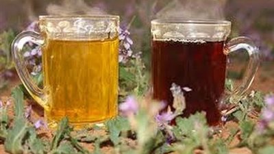 شاى الريجيم يصيب بالأنيميا وهشاشة العظام