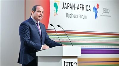 تفاصيل كلمة السيسي في الجلسة الختامية لقمة التيكاد