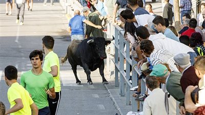 ثور يفتك برجل ويقتله بطعنة في الرقبة (صور)